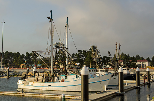 Commerical fishing boats sitting in the harbor of Crescent City in Northern California