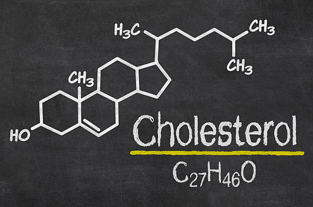 istock Blackboard with the chemical formula of cholesterol 535912845