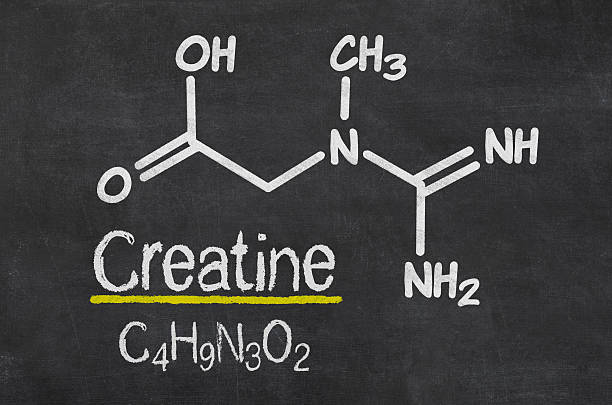 istock Blackboard with the chemical formula of creatine 535912859