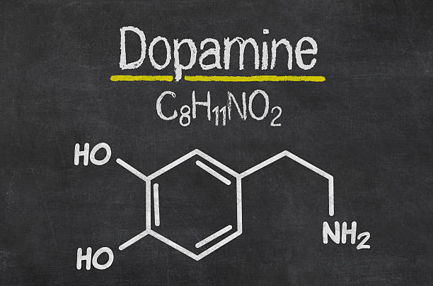 Blackboard with the chemical formula of dopamine Blackboard with the chemical formula of dopamine dopamine stock pictures, royalty-free photos & images