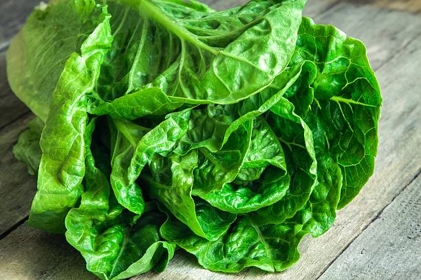 istock ripe organic green salad Romano closeup 535913523