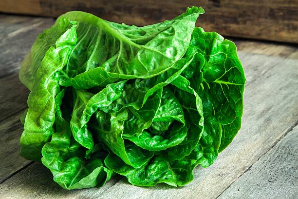 istock ripe organic green salad Romano 535913565