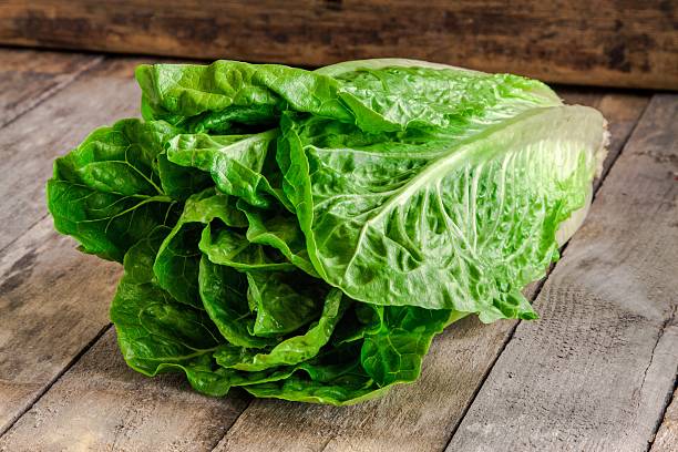 istock ripe organic green salad Romano 535913591