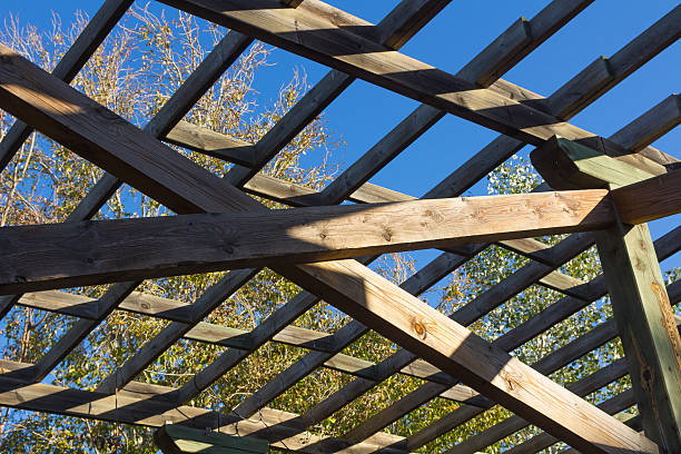istock structure of wood for climbing plants 535914303