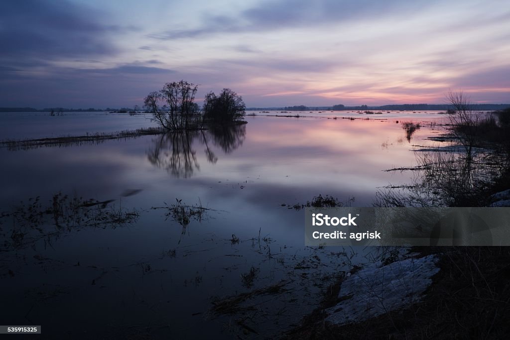 Flood lands Flood lands of rivers Lielupe and Svete in the morning 2015 Stock Photo