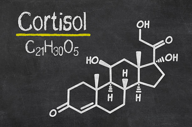 istock Blackboard with the chemical formula of cortisol 535915515