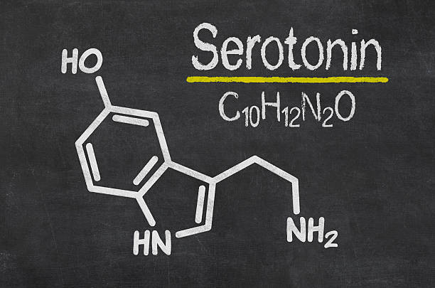 istock Blackboard with the chemical formula of serotonin 535915517
