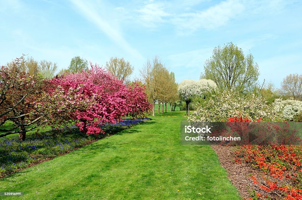 Frühling Eindruck - Lizenzfrei 2015 Stock-Foto