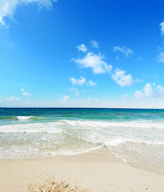 istock Poetto beach under a blue sky 535917099