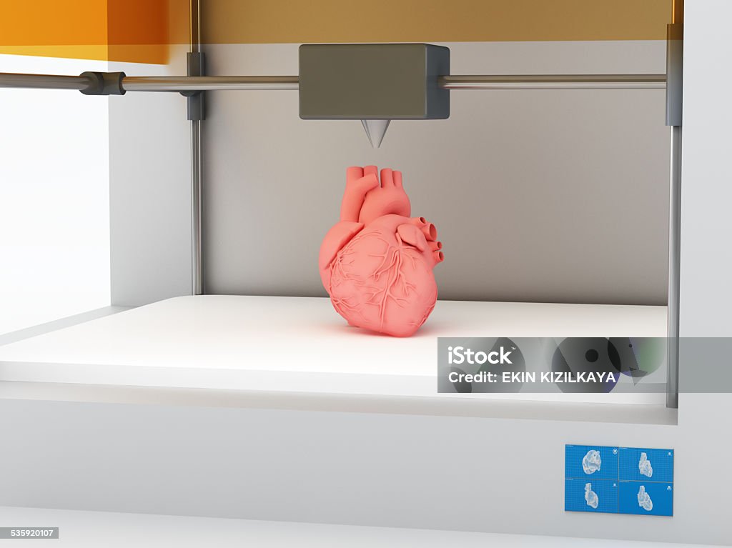 3d printed human heart 3d printing human body. 3d printed body parts, closeup view inside 3d printer. 3D Printing Stock Photo