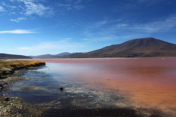 istock Lake Colorado Bolivia 535933565