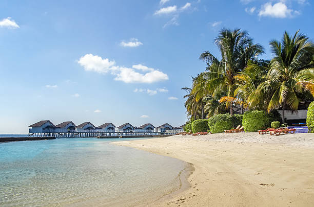 istock The white sandy beach, Maldives 535936023