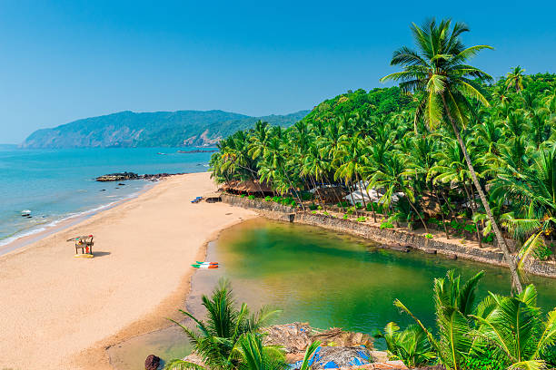 istock sandy beach in the beautiful resort location in Goa 535936401