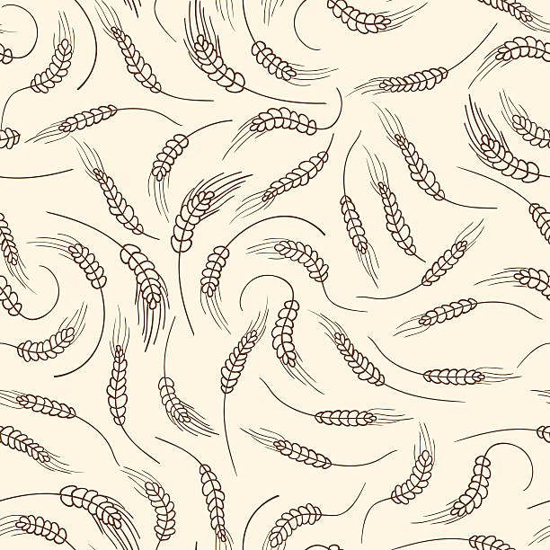 Corn Field Pattern Design 140+ Corn Field Rows Stock Illustrations, Royalty-Free Vector Graphics ...