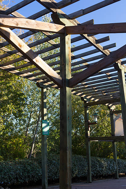 istock structure of wood for climbing plants 535937407