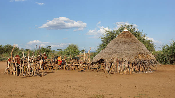 istock Hamer, Ethiopia, Africa 535939351