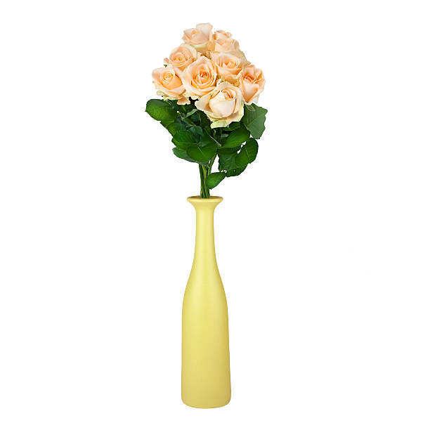 istock Floral background, roses in vase isolated on white background 535940655