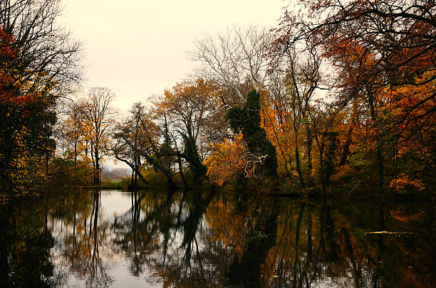 istock colorful autumn forest with lake with reflection 535943159