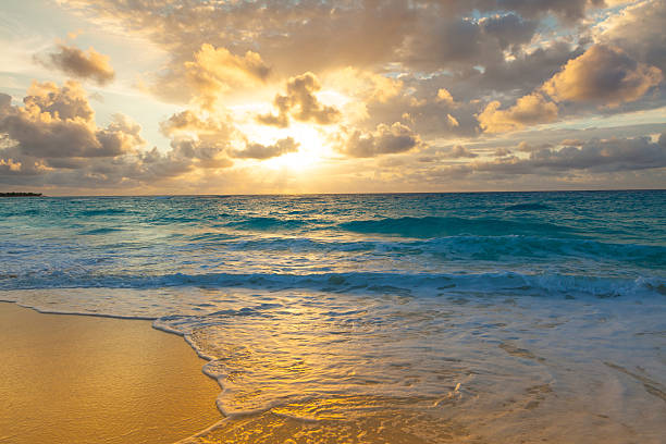 istock Golden sunrise on a tropical island 535964381