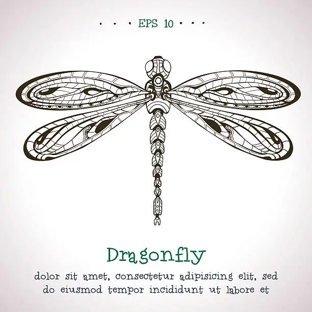 Vector illustration of Ornamental hand drawn vintage vector Dragonfly.
