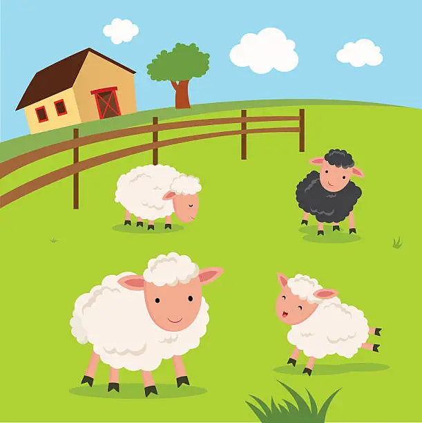 Vector illustration of Farm. Sheep and farmhouse.