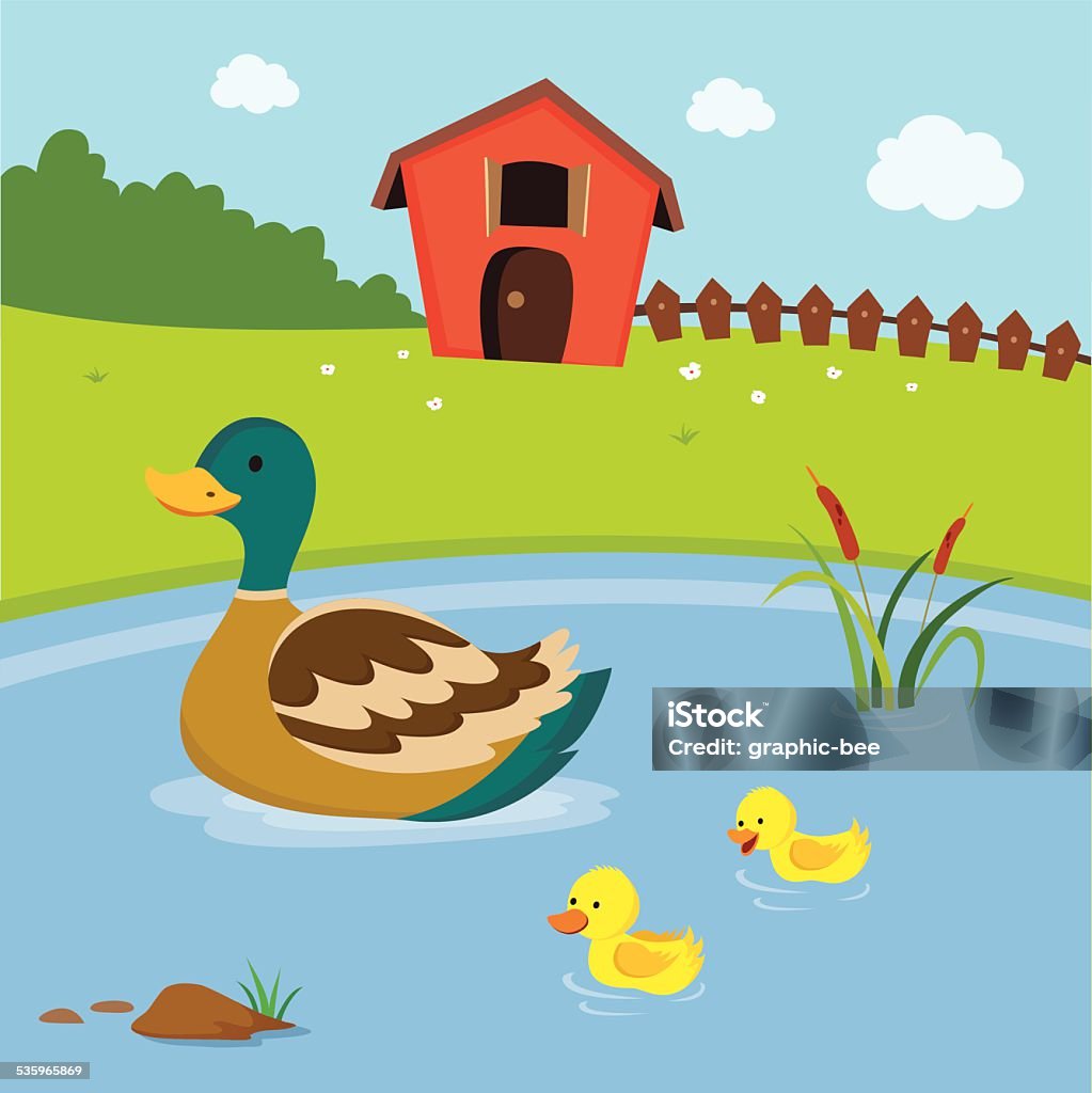 Farm. Mutter-Ente und die ducklings Schwimmen im Teich zu. - Lizenzfrei Ente - Wasservogel Vektorgrafik