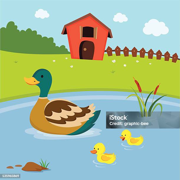 Farm Mutterente Und Die Ducklings Schwimmen Im Teich Zu Stock Vektor Art und mehr Bilder von Ente - Wasservogel