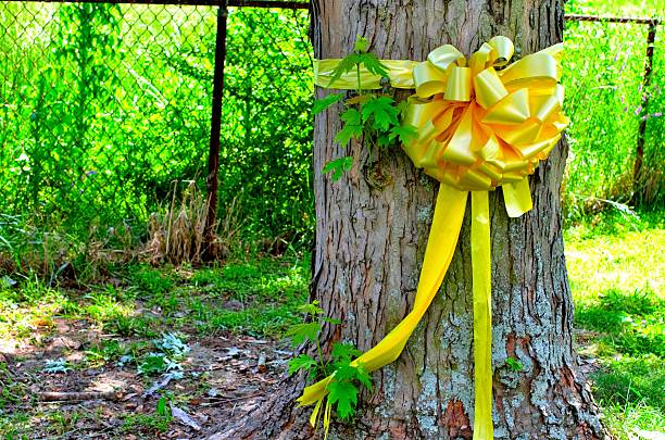 istock Yellow Ribbon tied around a maple tree 535971319