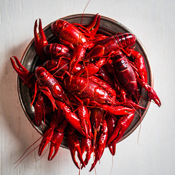 istock Crayfish on wooden background 535971901
