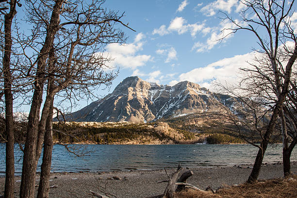 Montanha, Parque Nacional Lagos Waterton - foto de acervo