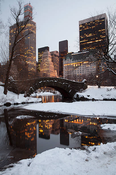 istock Central park in New York City 535981665