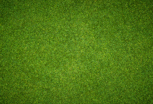 Hermoso patrón de hierba verde campo de golf photo