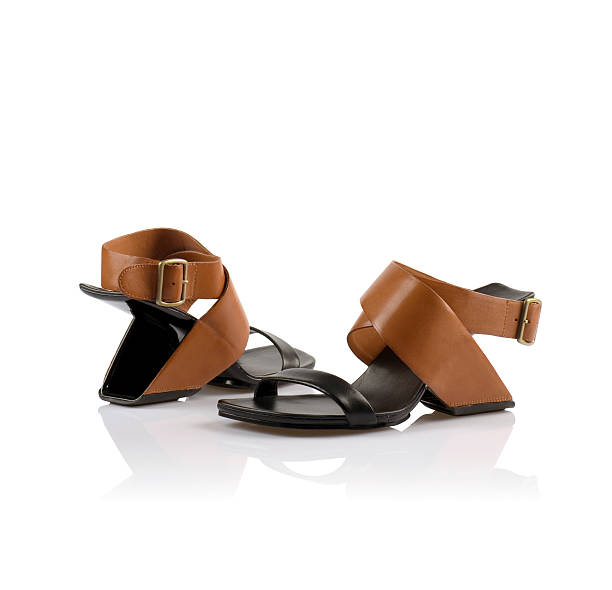 istock Womens fashion shoes 535986307