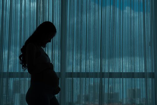 Silhouette of pregnant woman at home