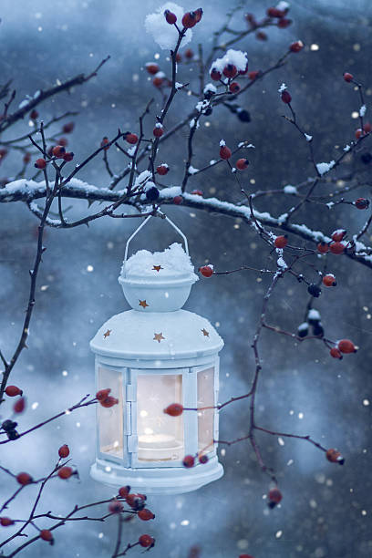 istock Lantern Hanging On Snowy Branch 535989761