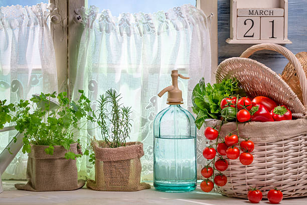 istock Fresh vegetables harvested in spring day 535991617