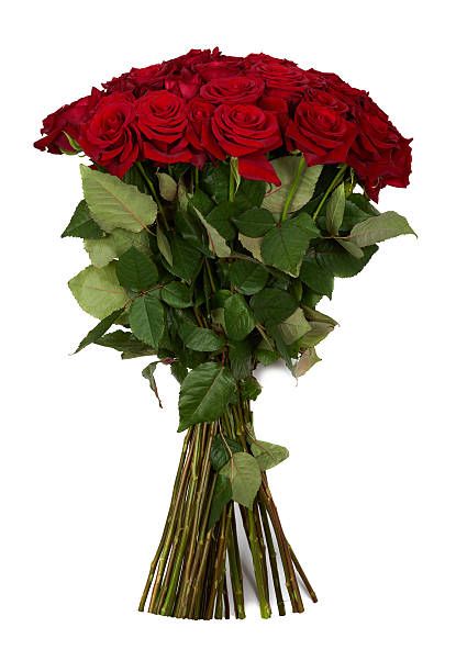 istock Bunch of roses 535992581