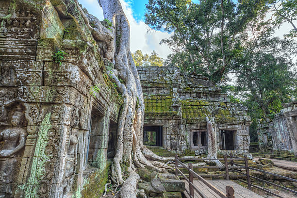 istock Ta Prohm Temple, Siem Reap, Cambodia 536010713