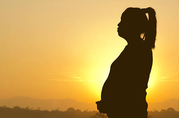 istock Pregnant woman silhouette 536012261