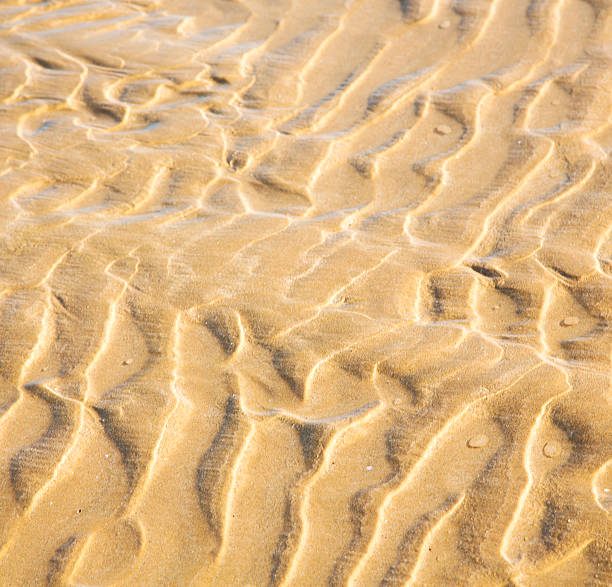 istock dune morocco in africa brown coastline wet sand 536013325
