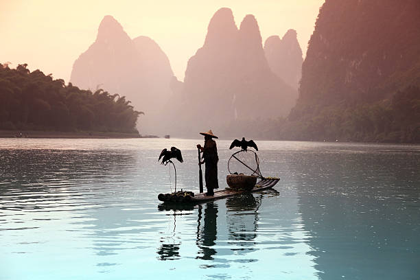 istock Fishing with cormorants birds in Yangshuo 536017773
