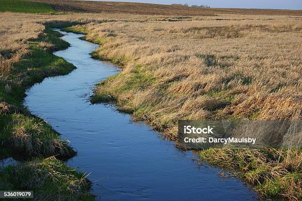 Conservation Along An Iowa Stream Stock Photo - Download Image Now - 2015, Agricultural Field, Agriculture