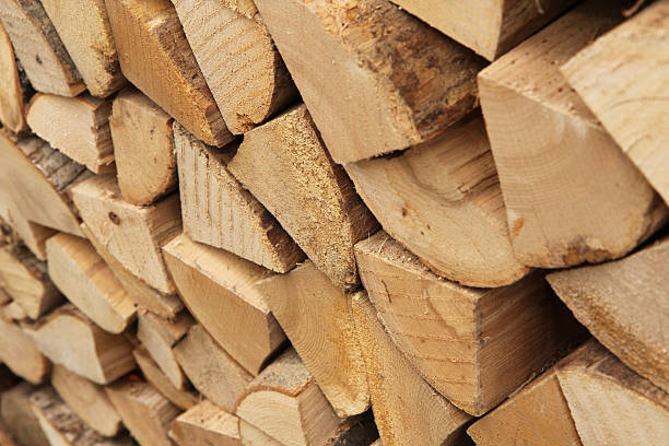 well managed tropical rainforest ash firewood stock photo