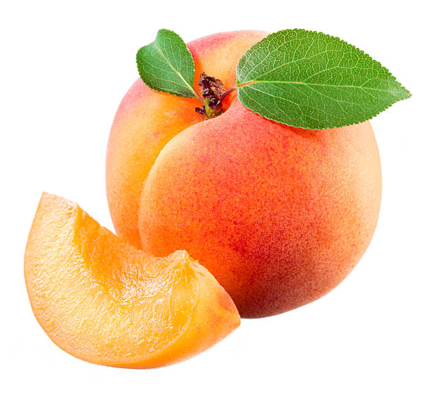 istock Apricot with a piece isolated on white background 536025839