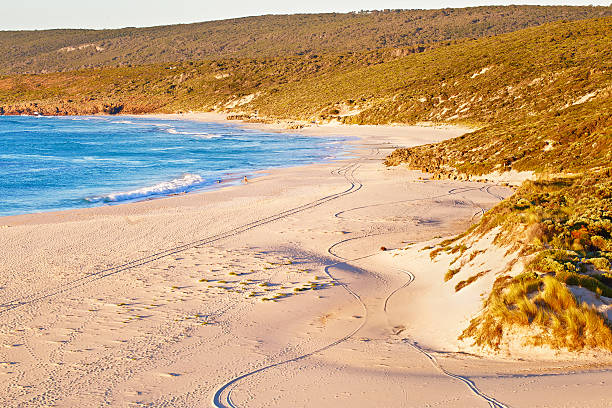 istock Western australian seascape at dawn 536027949
