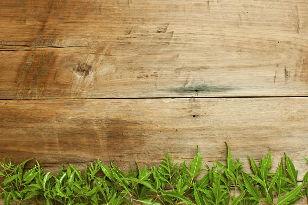 istock Frame is made of leaves 536028093