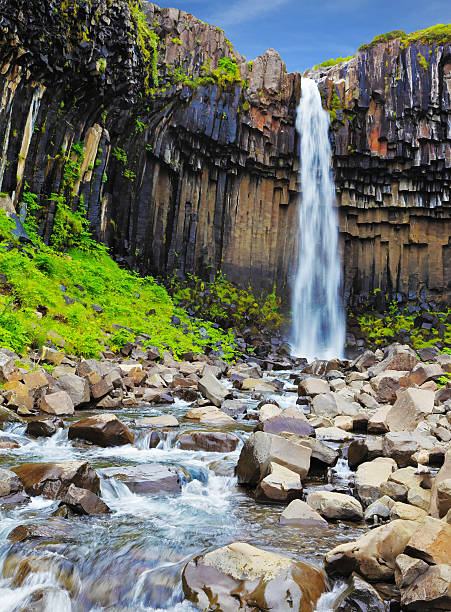 istock Waterfall Svartifoss in Skaftafell 536030467