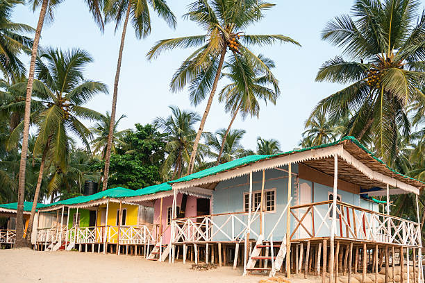 istock colorful beach huts with palm trees 536033425