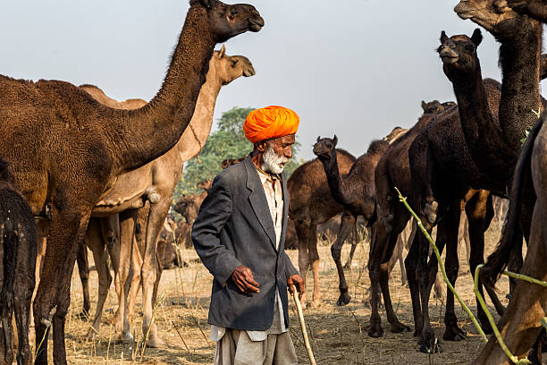 istock Man with camel at Pushkar fair, India. 536033625