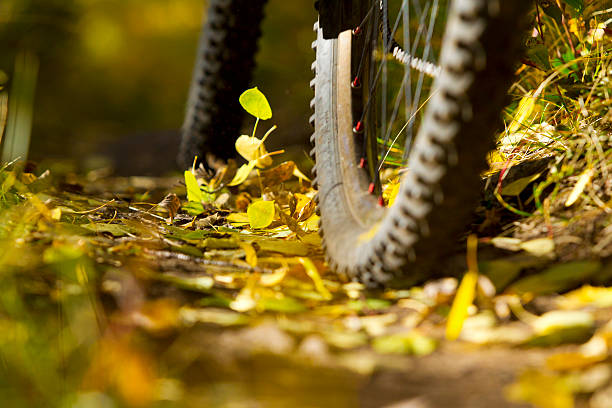 The wheels of a mountain bike riding a single track trail covered in aspen leaves in the fall. 